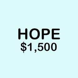 MLK Scholarship - Hope Sponsorship