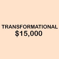 MLK Scholarship - Transformational Sponsorship